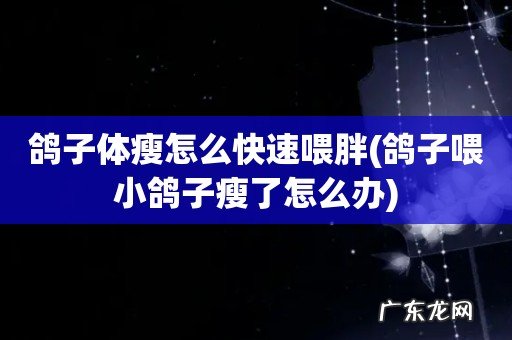 鸽子喂小鸽子瘦了怎么办 鸽子体瘦怎么快速喂胖