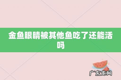 金鱼眼睛被其他鱼吃了还能活吗