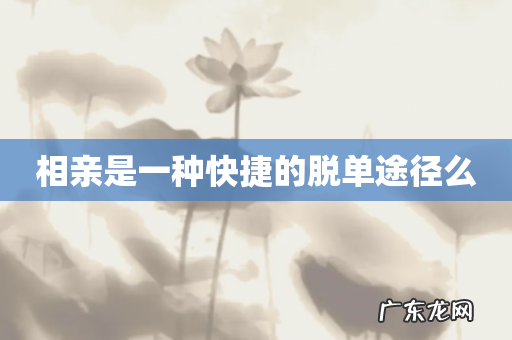 相亲是一种快捷的脱单途径么