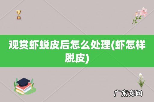 虾怎样脱皮 观赏虾蜕皮后怎么处理