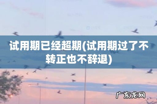 试用期过了不转正也不辞退 试用期已经超期