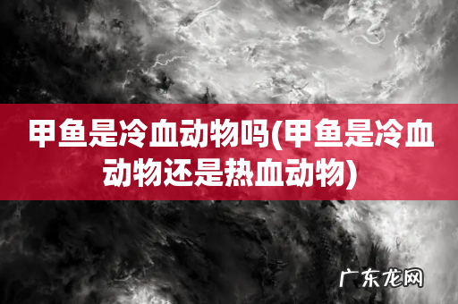 甲鱼是冷血动物还是热血动物 甲鱼是冷血动物吗