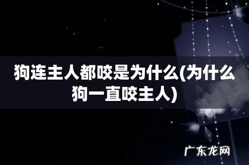 为什么狗一直咬主人 狗连主人都咬是为什么