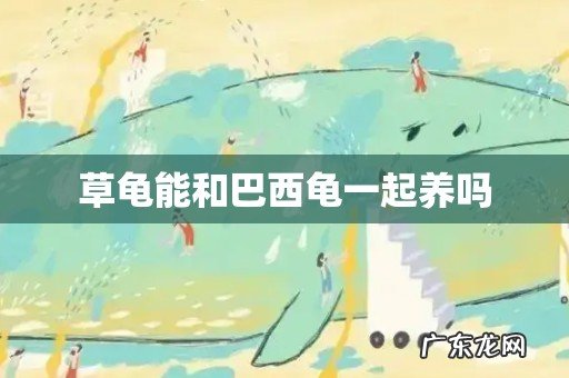 草龟能和巴西龟一起养吗