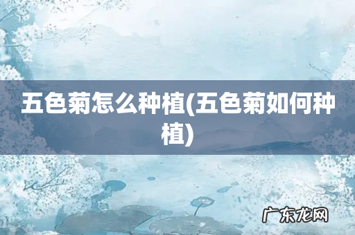 五色菊如何种植 五色菊怎么种植