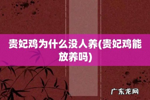 贵妃鸡能放养吗 贵妃鸡为什么没人养