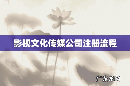 影视文化传媒公司注册流程