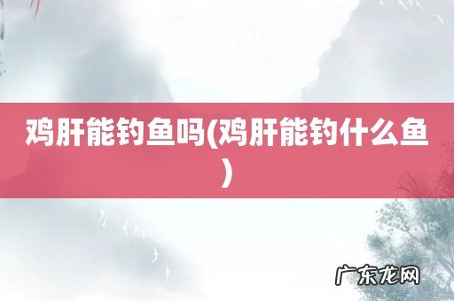鸡肝能钓什么鱼 鸡肝能钓鱼吗