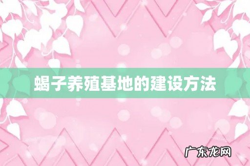 蝎子养殖基地的建设方法