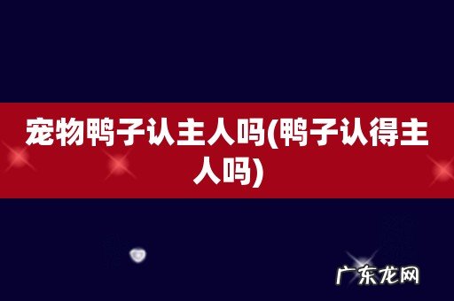 鸭子认得主人吗 宠物鸭子认主人吗