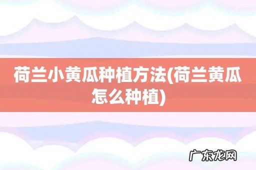 荷兰黄瓜怎么种植 荷兰小黄瓜种植方法