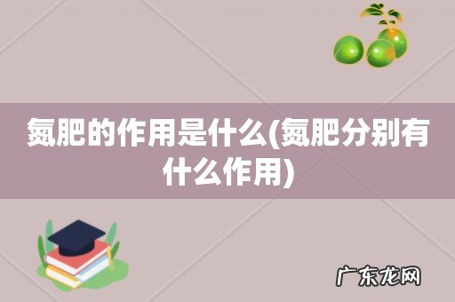 氮肥分别有什么作用 氮肥的作用是什么
