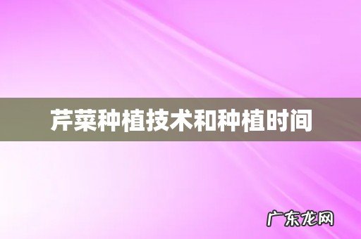 芹菜种植技术和种植时间