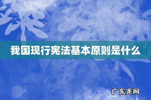 我国现行宪法基本原则是什么