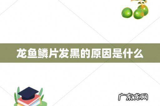 龙鱼鳞片发黑的原因是什么