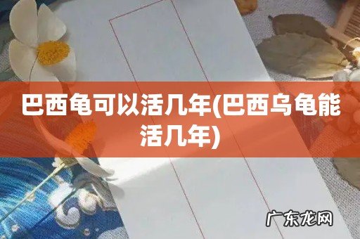 巴西乌龟能活几年 巴西龟可以活几年