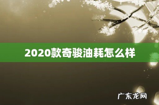 2020款奇骏油耗怎么样