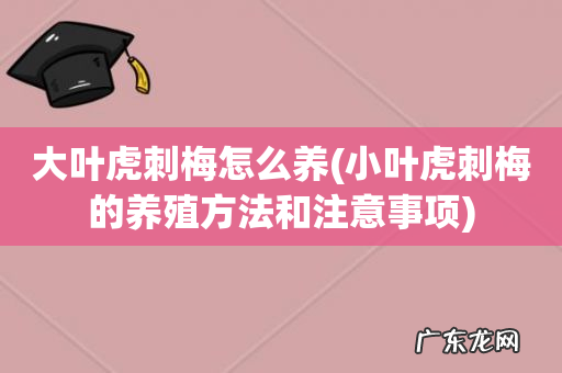 小叶虎刺梅的养殖方法和注意事项 大叶虎刺梅怎么养