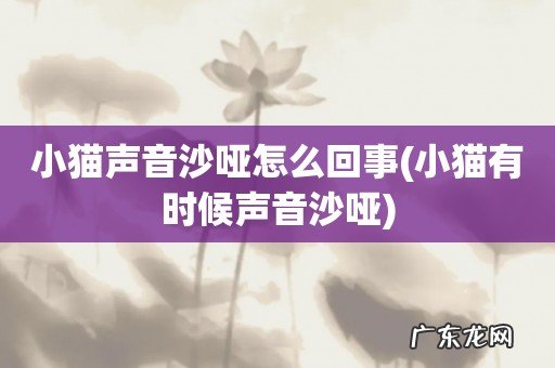 小猫有时候声音沙哑 小猫声音沙哑怎么回事