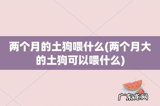 两个月大的土狗可以喂什么 两个月的土狗喂什么