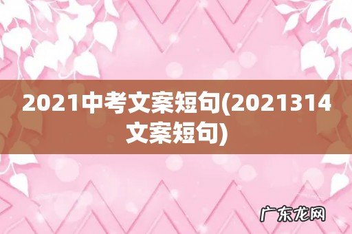 2021314文案短句 2021中考文案短句