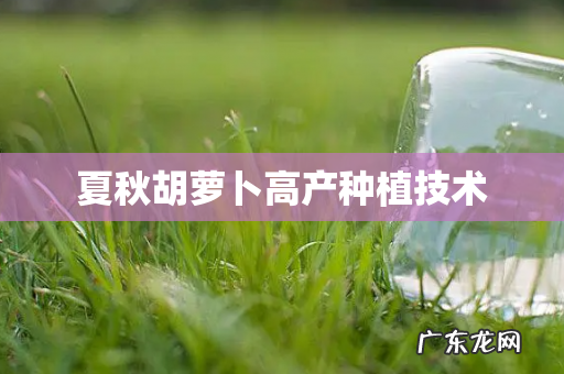 夏秋胡萝卜高产种植技术