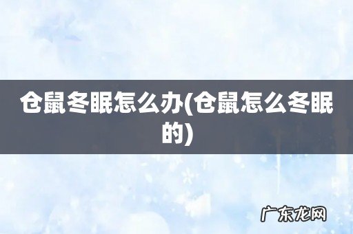 仓鼠怎么冬眠的 仓鼠冬眠怎么办