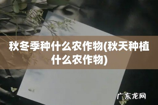 秋天种植什么农作物 秋冬季种什么农作物