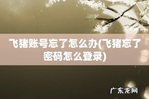 飞猪忘了密码怎么登录 飞猪账号忘了怎么办