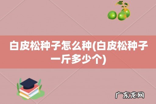 白皮松种子一斤多少个 白皮松种子怎么种