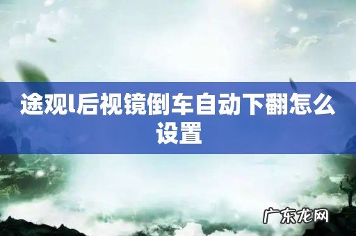 途观l后视镜倒车自动下翻怎么设置