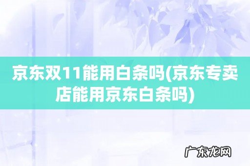 京东专卖店能用京东白条吗 京东双11能用白条吗