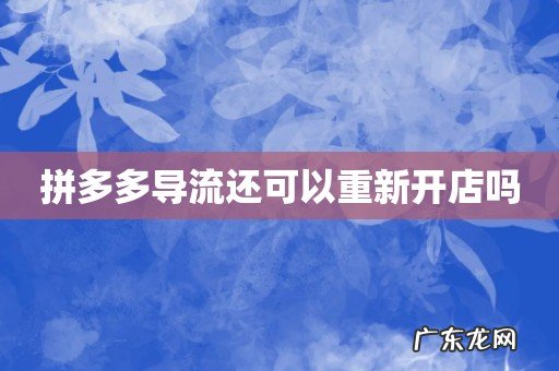 拼多多导流还可以重新开店吗