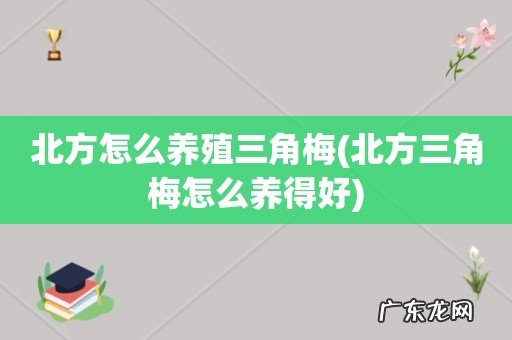 北方三角梅怎么养得好 北方怎么养殖三角梅