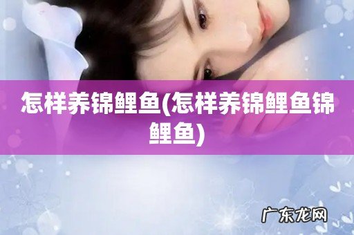 怎样养锦鲤鱼锦鲤鱼 怎样养锦鲤鱼