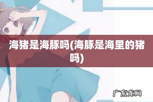 海豚是海里的猪吗 海猪是海豚吗