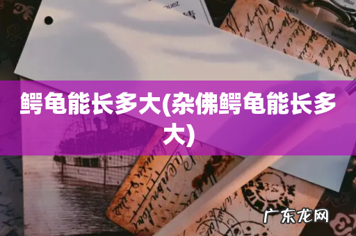 杂佛鳄龟能长多大 鳄龟能长多大
