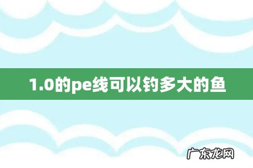 1.0的pe线可以钓多大的鱼