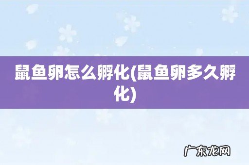 鼠鱼卵多久孵化 鼠鱼卵怎么孵化