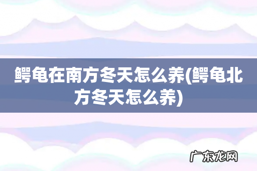 鳄龟北方冬天怎么养 鳄龟在南方冬天怎么养