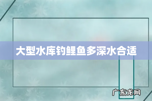 大型水库钓鲤鱼多深水合适