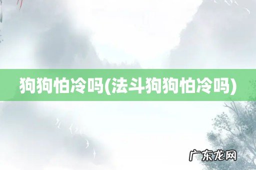 法斗狗狗怕冷吗 狗狗怕冷吗