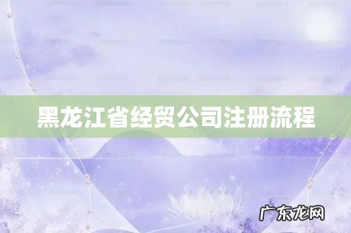 黑龙江省经贸公司注册流程