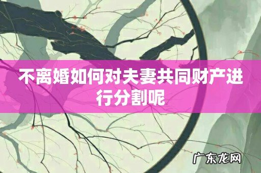 不离婚如何对夫妻共同财产进行分割呢