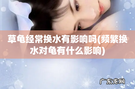 频繁换水对龟有什么影响 草龟经常换水有影响吗