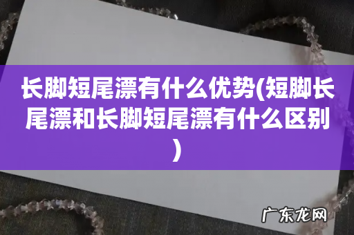 短脚长尾漂和长脚短尾漂有什么区别 长脚短尾漂有什么优势