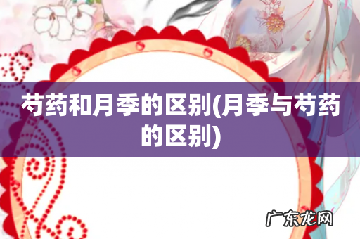 月季与芍药的区别 芍药和月季的区别