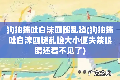 狗抽搐吐白沫四腿乱蹬大小便失禁眼睛还看不见了 狗抽搐吐白沫四腿乱蹬