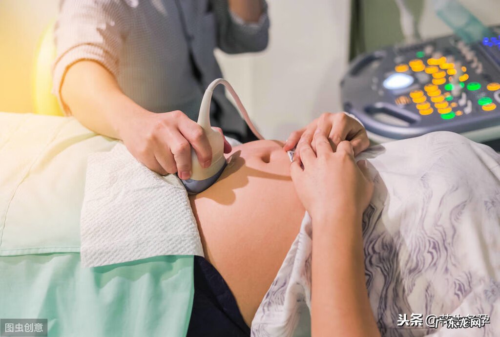 土茯苓植物图片 土茯苓图片大全