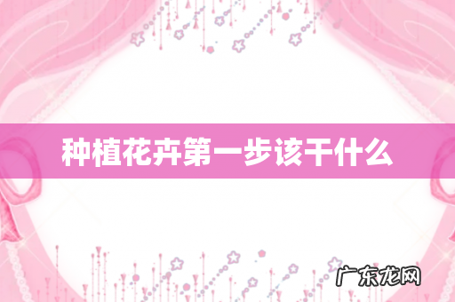 种植花卉第一步该干什么